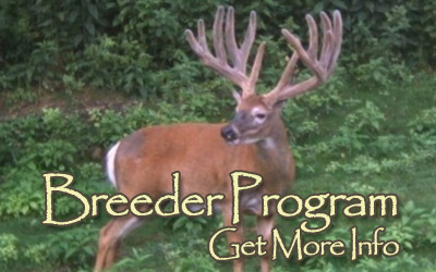 Texas Deer Breeder