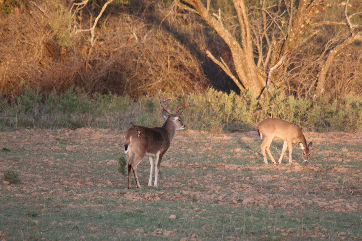 In The Field 7