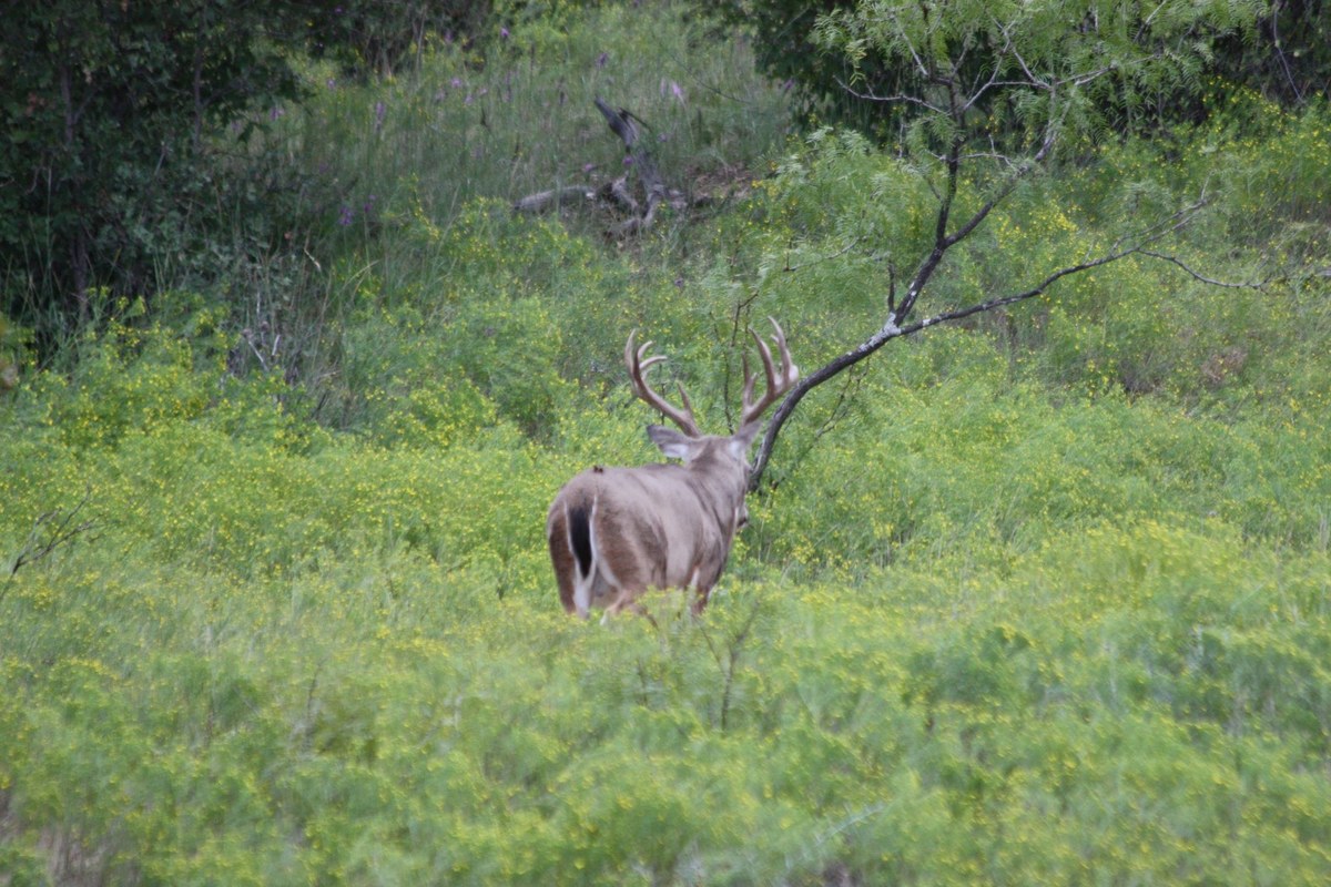 In The Field 12