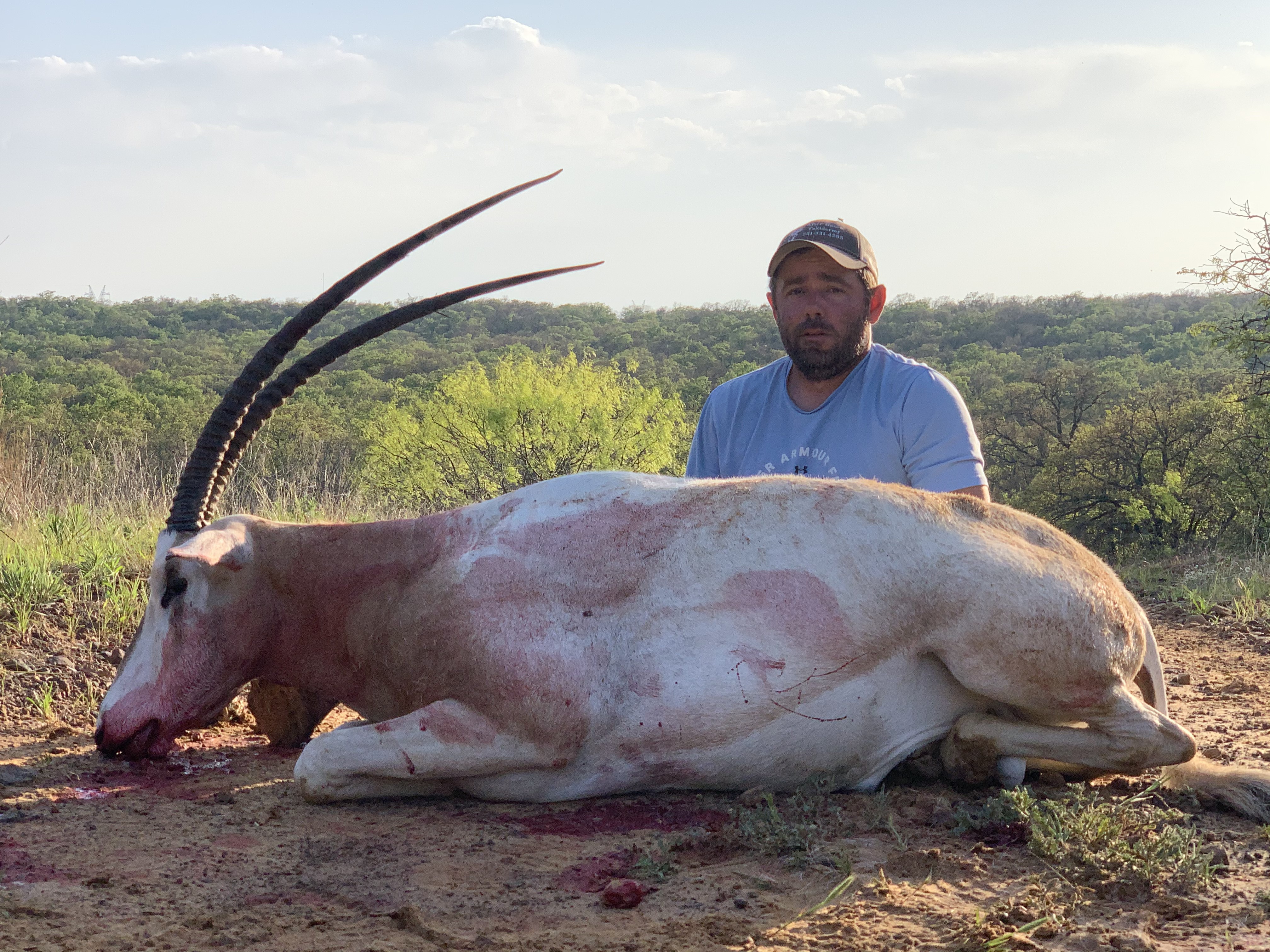 2021 Bradley's bull Oryx 0
